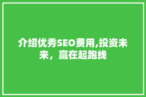 介绍优秀SEO费用,投资未来，赢在起跑线 介绍优秀SEO费用,投资未来，赢在起跑线 服务器/数据库