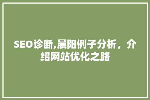 SEO诊断,晨阳例子分析，介绍网站优化之路