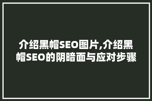 介绍黑帽SEO图片,介绍黑帽SEO的阴暗面与应对步骤