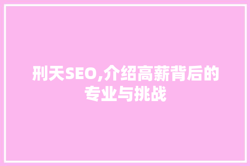 刑天SEO,介绍高薪背后的专业与挑战 服务器/数据库