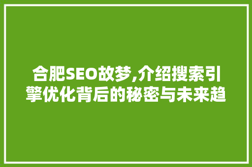 合肥SEO故梦,介绍搜索引擎优化背后的秘密与未来趋势