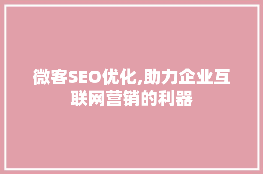 微客SEO优化,助力企业互联网营销的利器 服务器/数据库