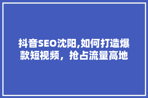 抖音SEO沈阳,如何打造爆款短视频，抢占流量高地