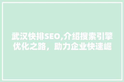 武汉快排SEO,介绍搜索引擎优化之路，助力企业快速崛起