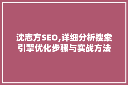 沈志方SEO,详细分析搜索引擎优化步骤与实战方法