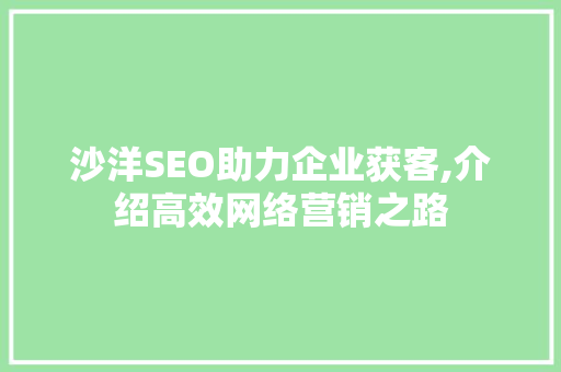 沙洋SEO助力企业获客,介绍高效网络营销之路