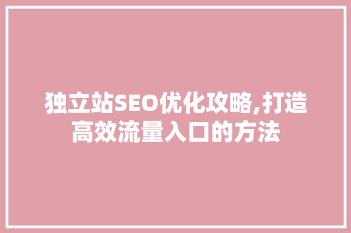 独立站SEO优化攻略,打造高效流量入口的方法 服务器/数据库