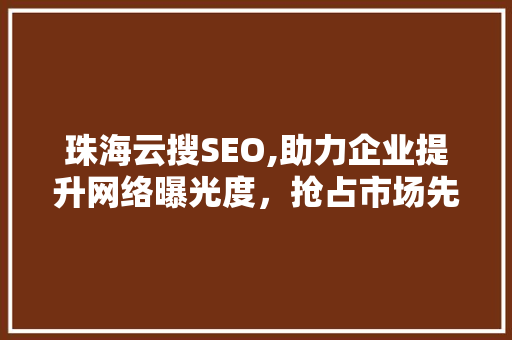 珠海云搜SEO,助力企业提升网络曝光度，抢占市场先机 WordPress教程