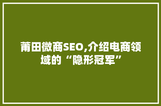 莆田微商SEO,介绍电商领域的“隐形冠军” SEO教程