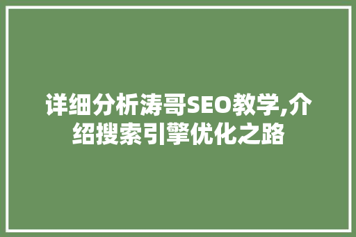 详细分析涛哥SEO教学,介绍搜索引擎优化之路 SEO教程