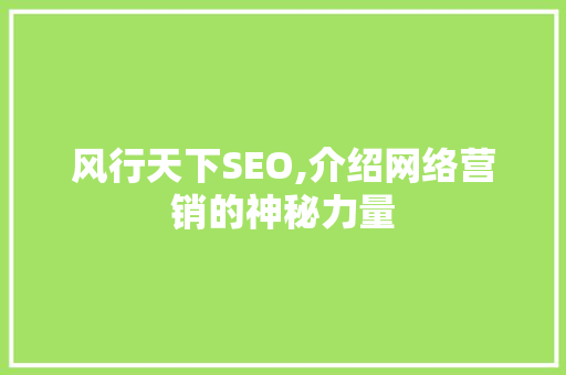 风行天下SEO,介绍网络营销的神秘力量 Web前端