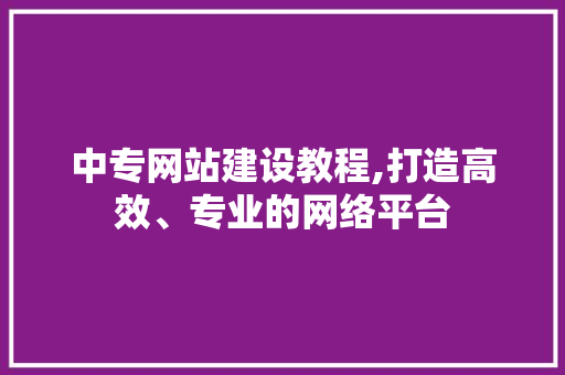 中专网站建设教程,打造高效、专业的网络平台 建站教程