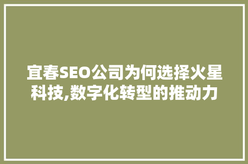 宜春SEO公司为何选择火星科技,数字化转型的推动力 SEO教程