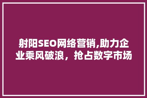 射阳SEO网络营销,助力企业乘风破浪，抢占数字市场制高点