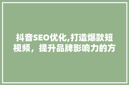 抖音SEO优化,打造爆款短视频，提升品牌影响力的方法 服务器/数据库