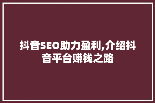 抖音SEO助力盈利,介绍抖音平台赚钱之路 WordPress教程