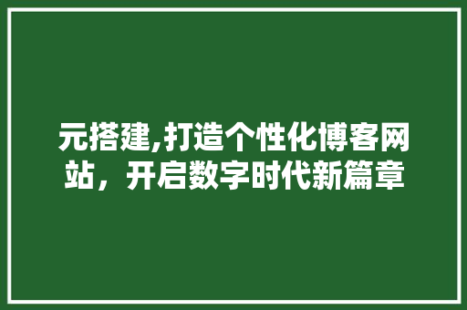 元搭建,打造个性化博客网站，开启数字时代新篇章