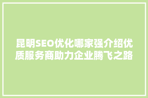 昆明SEO优化哪家强介绍优质服务商助力企业腾飞之路