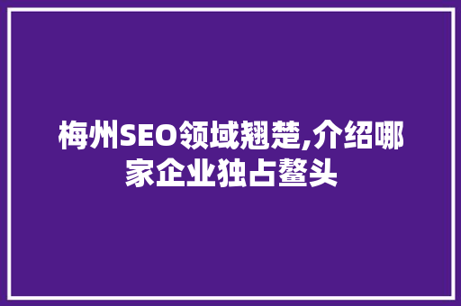梅州SEO领域翘楚,介绍哪家企业独占鳌头