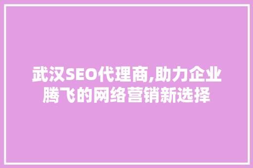 武汉SEO代理商,助力企业腾飞的网络营销新选择