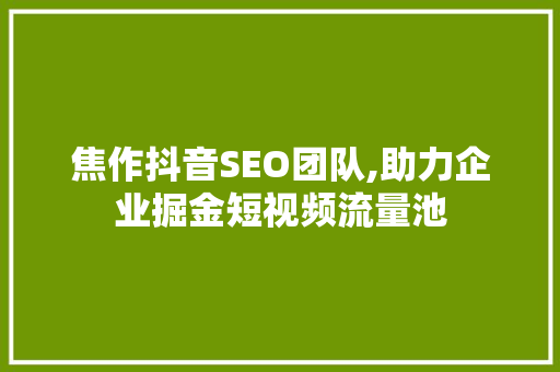 焦作抖音SEO团队,助力企业掘金短视频流量池 WordPress教程