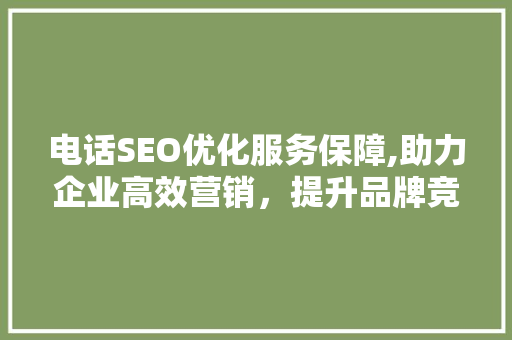 电话SEO优化服务保障,助力企业高效营销，提升品牌竞争力