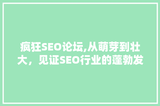 疯狂SEO论坛,从萌芽到壮大，见证SEO行业的蓬勃发展