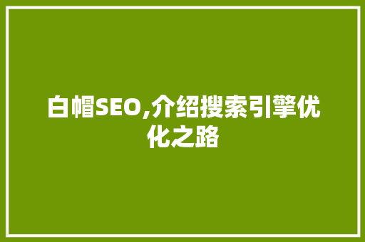 白帽SEO,介绍搜索引擎优化之路 友链在线