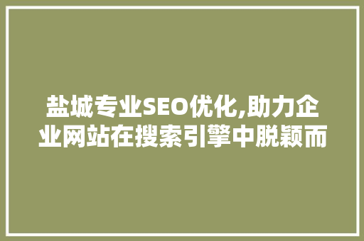 盐城专业SEO优化,助力企业网站在搜索引擎中脱颖而出 建站教程