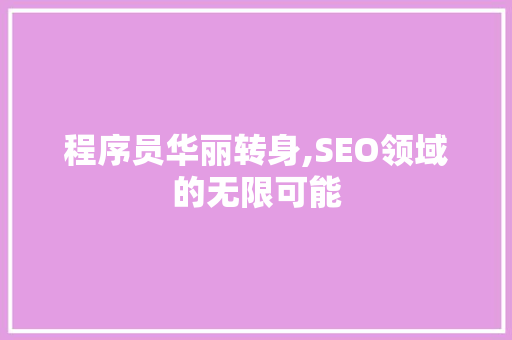 程序员华丽转身,SEO领域的无限可能