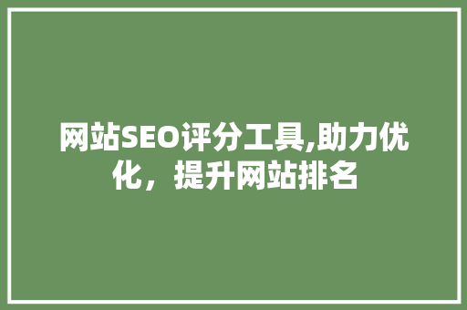 网站SEO评分工具,助力优化，提升网站排名