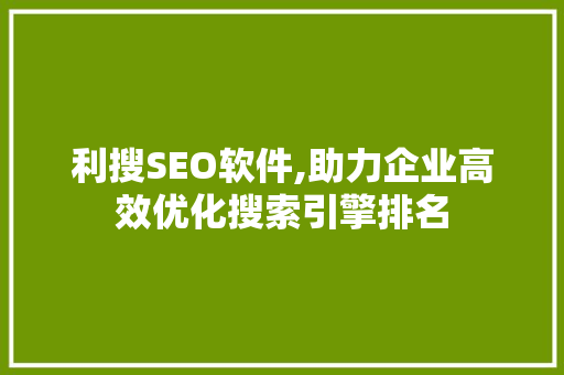 利搜SEO软件,助力企业高效优化搜索引擎排名 利搜SEO软件,助力企业高效优化搜索引擎排名 服务器/数据库