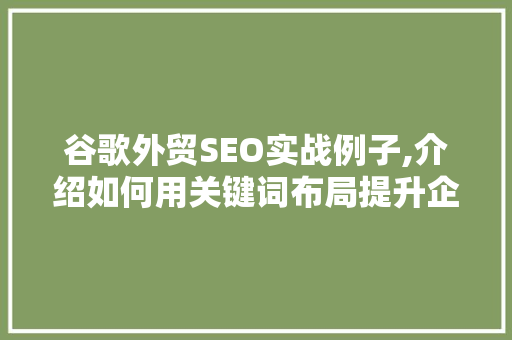 谷歌外贸SEO实战例子,介绍如何用关键词布局提升企业国际市场竞争力