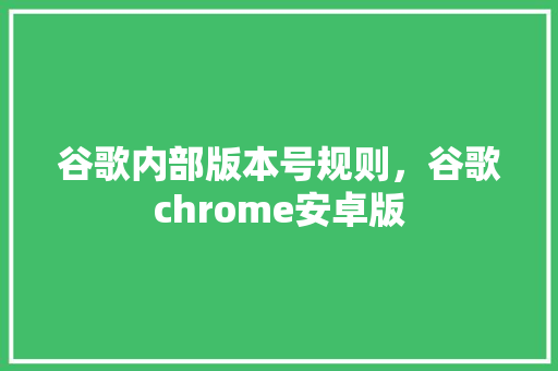 谷歌内部版本号规则，谷歌chrome安卓版 建站教程