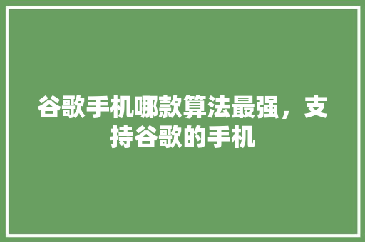 谷歌手机哪款算法最强，支持谷歌的手机 SEO教程