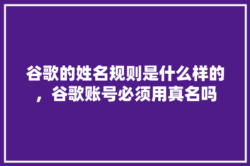 谷歌的姓名规则是什么样的，谷歌账号必须用真名吗 服务器/数据库