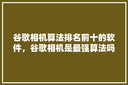 谷歌相机算法排名前十的软件，谷歌相机是最强算法吗