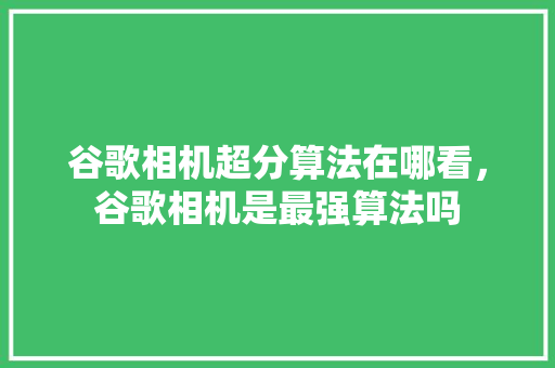 谷歌相机超分算法在哪看，谷歌相机是最强算法吗