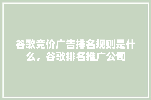 谷歌竞价广告排名规则是什么，谷歌排名推广公司 SEO教程