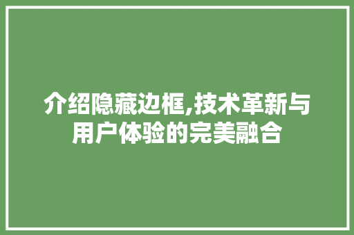 介绍隐藏边框,技术革新与用户体验的完美融合 介绍隐藏边框,技术革新与用户体验的完美融合 服务器/数据库