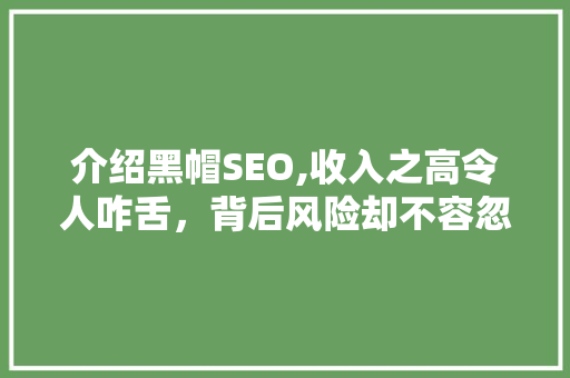 介绍黑帽SEO,收入之高令人咋舌，背后风险却不容忽视 介绍黑帽SEO,收入之高令人咋舌，背后风险却不容忽视 服务器/数据库