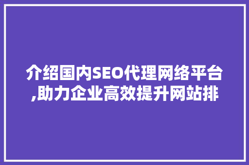 介绍国内SEO代理网络平台,助力企业高效提升网站排名 服务器/数据库