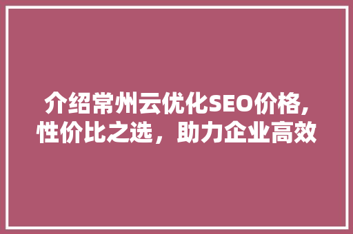 介绍常州云优化SEO价格,性价比之选，助力企业高效提升网络排名