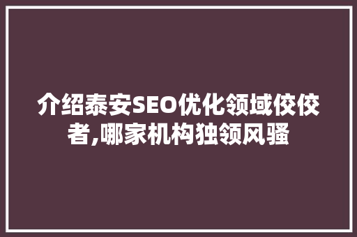 介绍泰安SEO优化领域佼佼者,哪家机构独领风骚 SEO教程