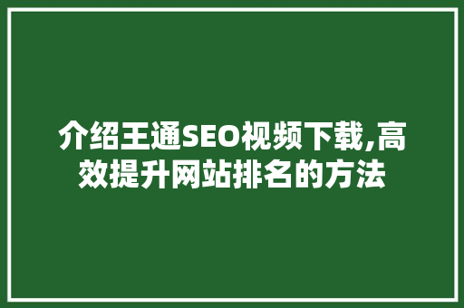 介绍王通SEO视频下载,高效提升网站排名的方法