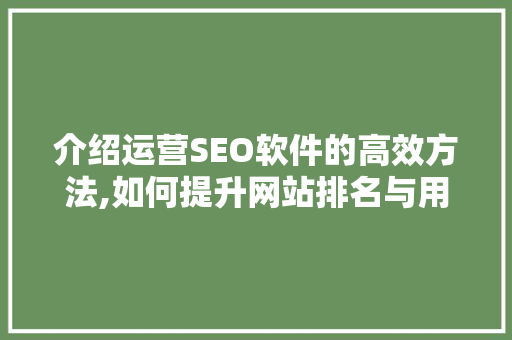 介绍运营SEO软件的高效方法,如何提升网站排名与用户体验