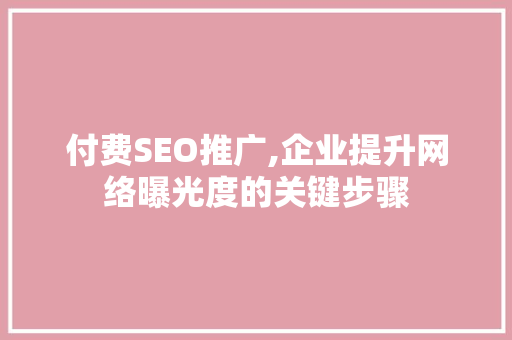 付费SEO推广,企业提升网络曝光度的关键步骤