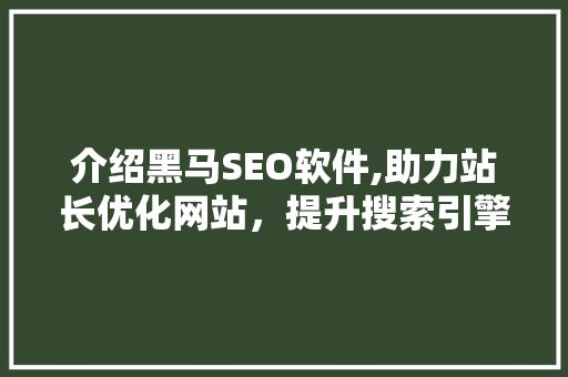 介绍黑马SEO软件,助力站长优化网站，提升搜索引擎排名 SEO教程