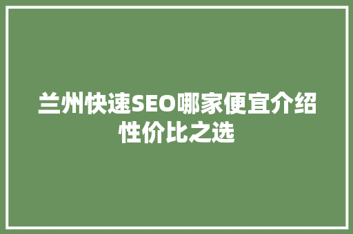 兰州快速SEO哪家便宜介绍性价比之选