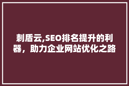 刺盾云,SEO排名提升的利器，助力企业网站优化之路 SEO教程
